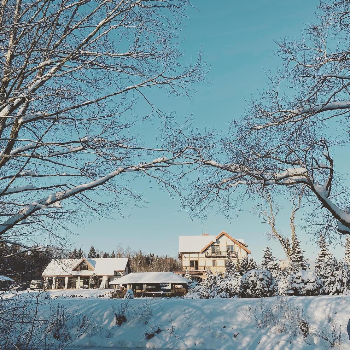 Jurvinge Hotel Zadvainai Екстериор снимка
